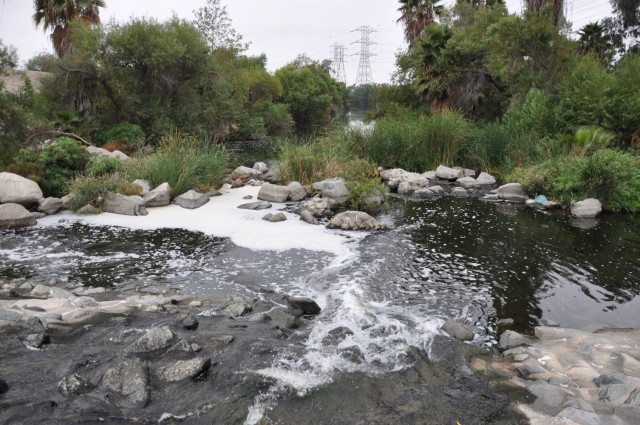 In a section of river at the confluence of San Jose Creek and San Gabriel river not disturbed by illegal camping, the natural beauty of the land managed by the U.S. Army Corps of Engineers Los Angeles District is revealed. The U.S. Army Corps of...