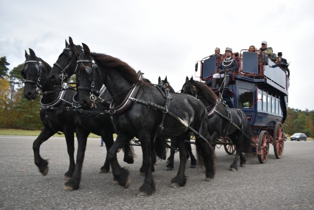 A team of horses pulls a double-decker carriage during a "slipjacht" (Dutch for "drag hunt")Oct. 31, 2021 at Army Prepositioned Stock (APS-2) Site Zutendaal near the Belgian Limburg town of Zutendaal. This was the 50th anniversary of the...