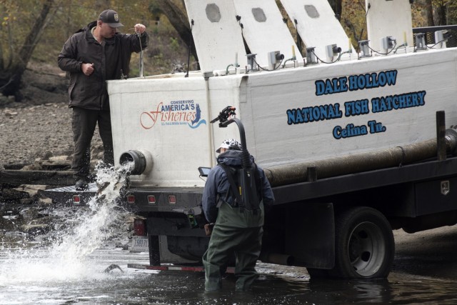 Director Zebediah Smith with Open Jaw Productions captures video of Jerry Short releasing trout Nov. 3, 2021 into the Caney Fork River below Center Hill Dam in Lancaster, Tennessee. The dam’s tailwater provides world-class trout fishing opportunities. Short is a motor vehicle operator with the Dale Hollow National Fish Hatchery Fish Rearing and Distribution. (USACE Photo by Leon Roberts)