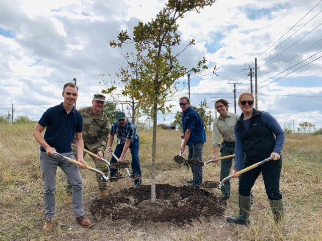 Tree planting