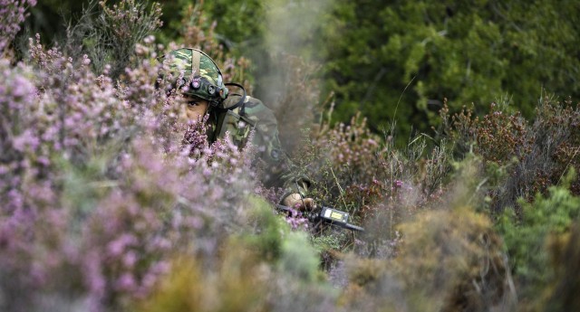 A Hellenic Army soldier uses concealment to hide his position during the force-on-force portion of Olympic Cooperation 2021 at Petrochori Range, Triantafyllides Camp, Greece, Nov. 9, 2021. The transfer of knowledge and integration of tactics between the U.S. and Greece is essential to maintaining the highest levels of interoperability and readiness possible. 