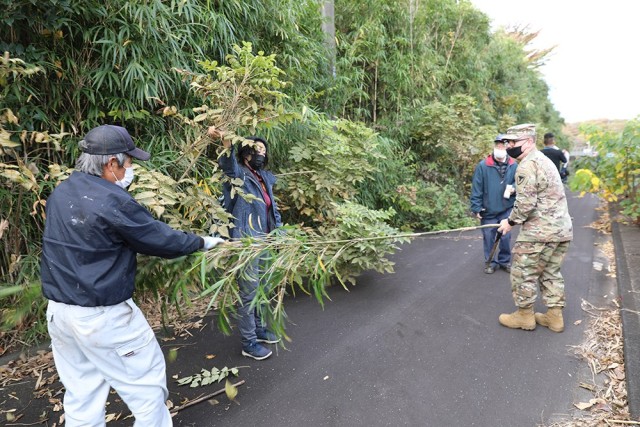 Bamboo harvested from Camp Zama to be used to construct traditional giant kite