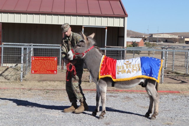 Staff Sgt. Big Deuce VIII and his handler Pvt. 1st Class Brenden Snyder stand in front of the promotion board and answer questions from the promotion board at Sanders Stables on Fort Sill Nov. 29, 2021.