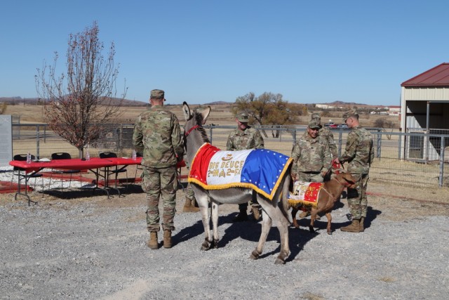 Staff Sgt. Big Deuce, Cpl. Short Round and their respective handlers receive congratulations from the promotion board members after getting the nod that they were promotable Nov. 29, 2021, at Sanders Stables on Fort Sill.