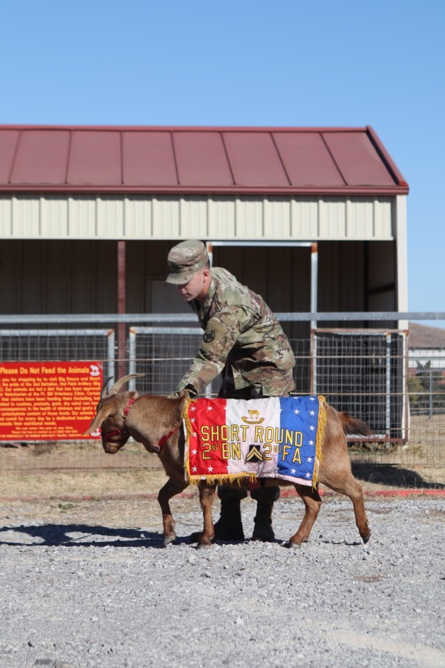 Cpl. Short Round VII appears a little skittish as she and her handler, Spc. Carl Romer, answer questions from the promotion board Nov. 29, 2021, at Sanders Stables.