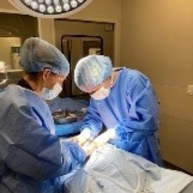 Capt. Abbey Calvo, 218th Medical Detachment (Veterinary Service Support), performs a life-saving emergency surgery on a canine with a gastrodilitation volvulus with the assistance of Dr. Katie Rawlings, an emergency veterinarian at the BluePearl...