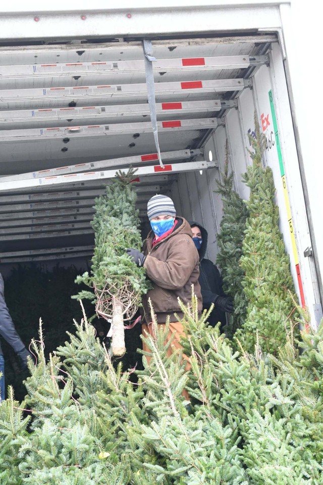 Nearly 500 free, farm-grown trees were distributed over two days to Soldiers and family members at Fort Drum, courtesy of the annual Trees for Troops program. Fort Drum Better Opportunities for Single Soldiers members and volunteers helped to direct traffic and assist with the tree distribution Dec. 4-5 at the Main Post Chapel parking lot. The 10th Mountain Division Band performed a holiday set list to keep the mood festive at the event. (Photo by Mike Strasser, Fort Drum Garrison Public Affairs)