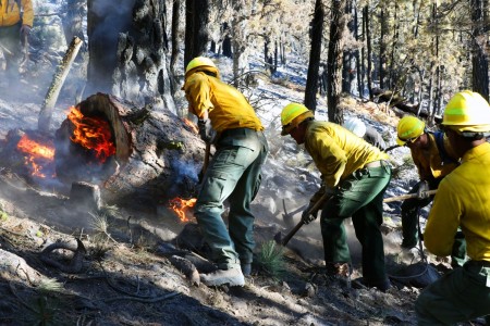 Soldiers dig a trench around a burning tree trunk while supporting firefighting response efforts at the Dixie Fire in Plumas National Forest, Calif., Sept. 7, 2021.