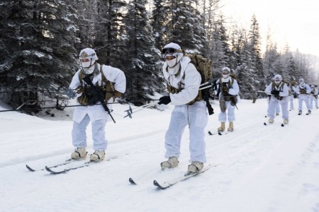 Soldiers participate in a skijoring exercise at Joint Base Elmendorf-Richardson, Alaska, Jan. 27, 2021.