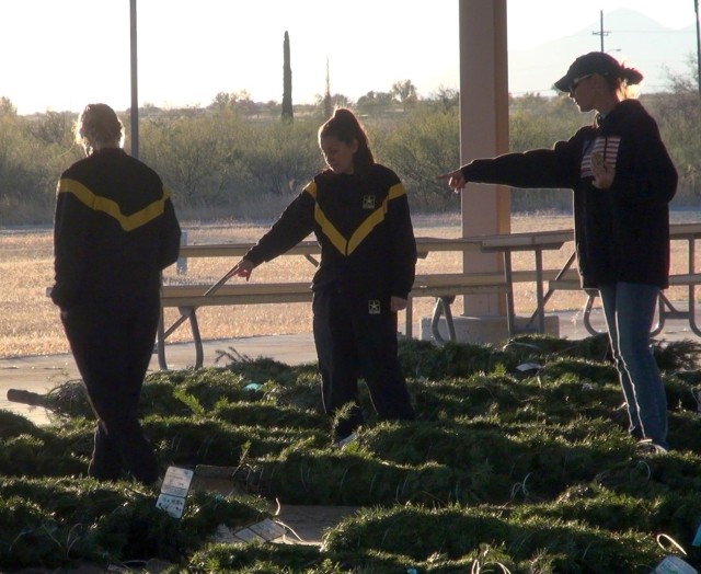 Fort Huachuca, Ariz. Soldiers choose from a selection of holiday trees that have been donated to Servicemembers.