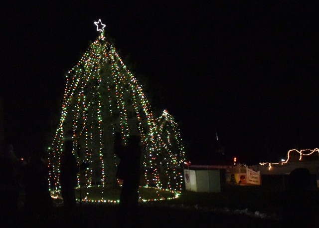 After a countdown from five, the tree lights are turned on Tuesday at Joint Services Park.