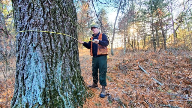 Forestry Technician Tim Parry with the Forestry Office of the Directorate of Public Works Environmental Division Natural Resources Branch takes measurements and more Dec. 2, 2021, while documenting the size of a large white pine tree located along...