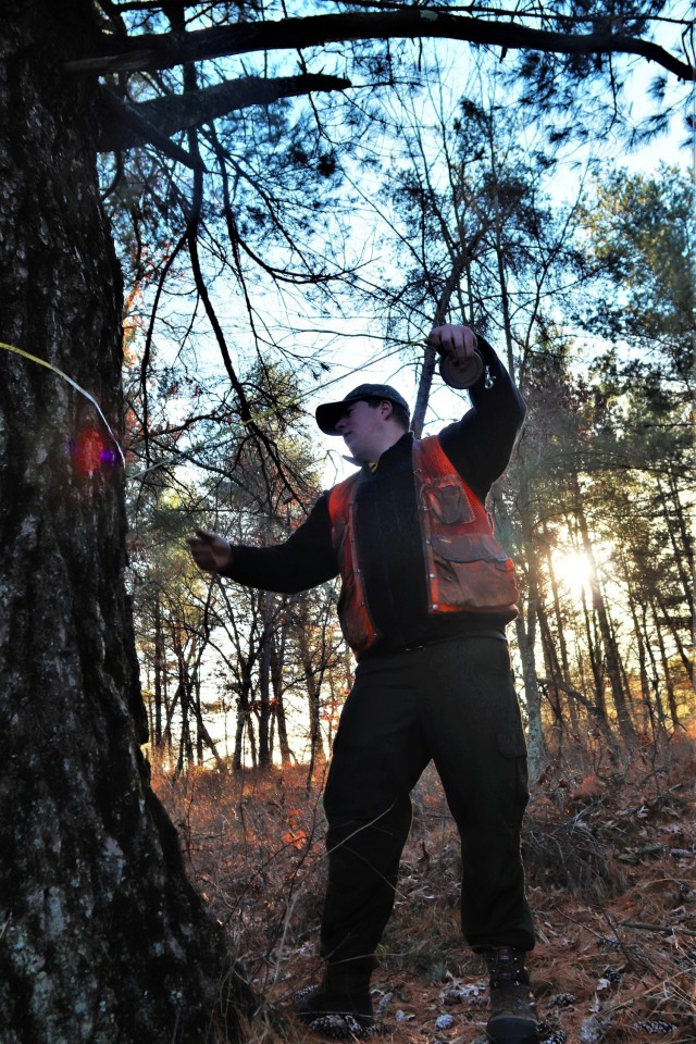 Forestry Technician Tim Parry with the Forestry Office of the Directorate of Public Works Environmental Division Natural Resources Branch takes measurements and more Dec. 2, 2021, while documenting the size of a large white pine tree located along...
