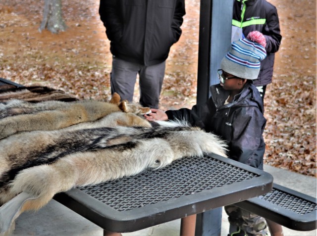 Children participating in the USO Wisconsin’s Hike and Hunt event Nov. 17, 2021, at Fort McCoy, Wis., look at taxidermy mounts that relate to animals of Wisconsin. The items were brought to the event by Natural Resources Specialist Kevin Luepke...