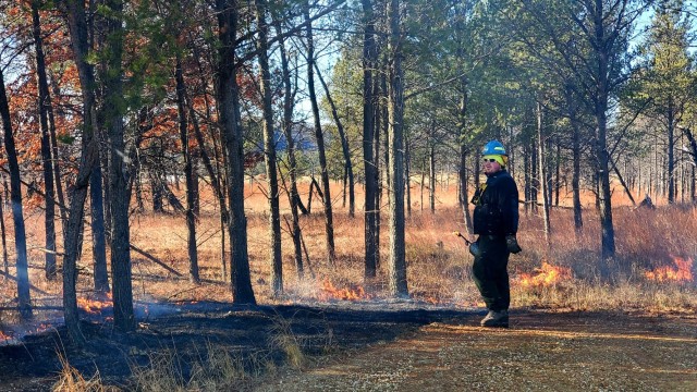 Fort McCoy prescribed burn team members oversee a prescribed burn Dec. 2, 2021, near Range 26 on North Post at Fort McCoy, Wis. The post prescribed burn team includes personnel with the Fort McCoy Directorate of Emergency Services Fire Department; Directorate of Public Works (DPW) Environmental Division Natural Resources Branch; Directorate of Plans, Training, Mobilization and Security; and the Colorado State University Center for Environmental Management of Military Lands, under contract with the post. Prescribed burns also improve wildlife habitat, control invasive plant species, restore and maintain native plant communities, and reduce wildfire potential. Prescribed burns benefit the environment many ways and are one of the tools we can use on a large scale to improve our wild habitat, said Fort McCoy Forester Charles Mentzel with the Directorate of Public Works Natural Resources Branch. Mentzel said prescribed burns help set back invasive species, and they burn up their seed banks. Burns also give native species an opportunity to compete against some of the non-native species, as many native species depend on fire to help stimulate them and set back non-native species. (Photo by Scott Sturkol, Fort McCoy Public Affairs Office)