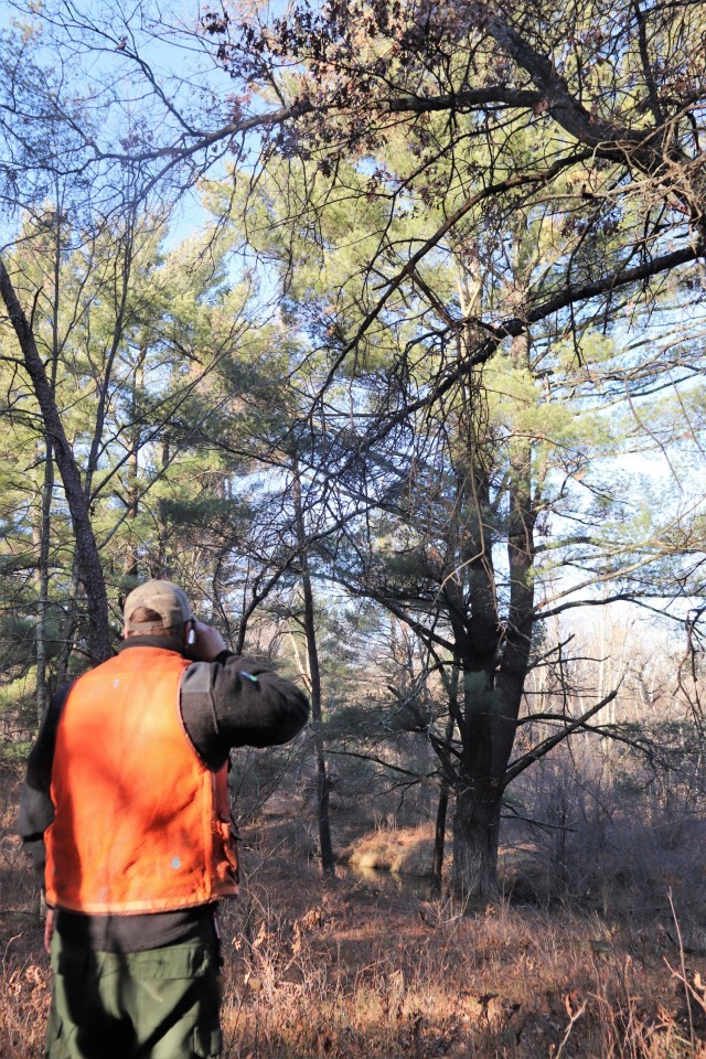 Forestry Technician Tim Parry with the Forestry Office of the Directorate of Public Works Environmental Division Natural Resources Branch takes measurements and more Dec. 2, 2021, while documenting the size of a large white pine tree located along...