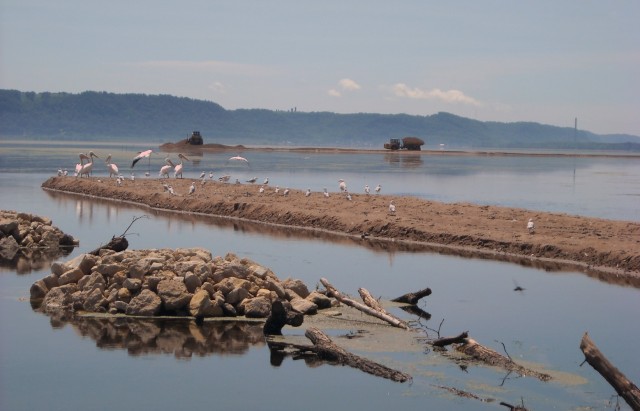 A rock log structure connecting two islands at the U.S. Army Corps of Engineers, St. Paul District Pool 8 Islands project near Brownsville, Wisconsin, June 22, 2010.