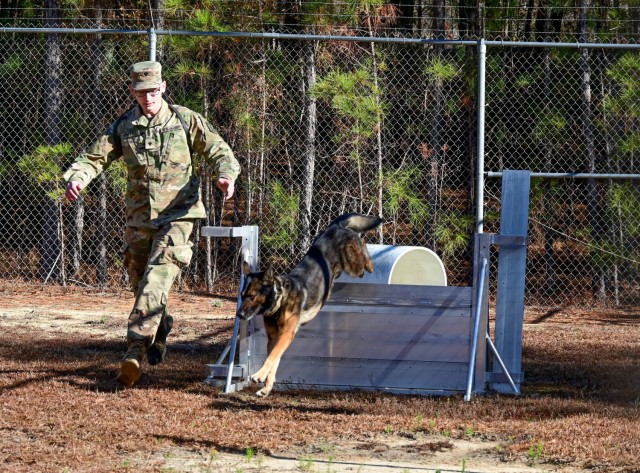 Spc. Jospeh Phillips, a Military Working Dog handler assigned to the 905th Military Police Detachment, Fort Knox, Ky., runs next to his partner Puritan as he clears an obstacle Dec. 13, 2021. Eleven MWD teams from across the nation traveled to Fort Jackson, SC, to test for certification. The certification gives credibility to MWD teams should they be called into a court of law to testify and allows them to work together in the field at their home stations.