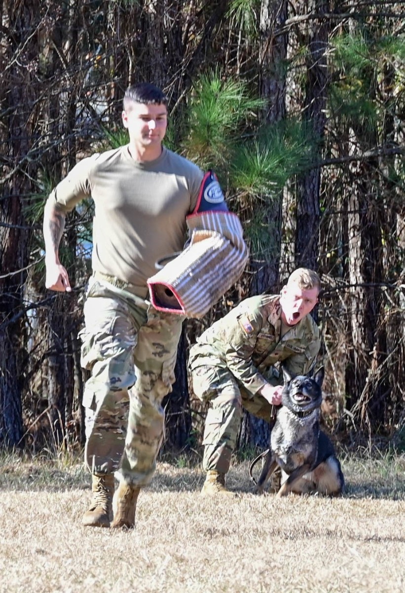 Military Working Dog teams certify on Fort Jackson | Article | The