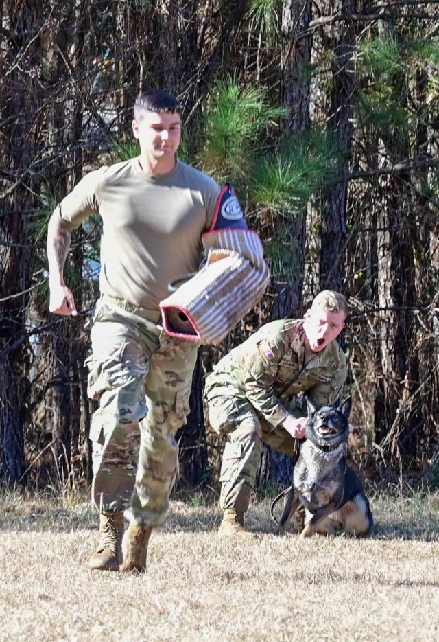 Sgt. Brady Lynch, a military working dog handler assigned to the 208th Military Police Detachment (Military Working Dog), Fort Jackson, SC, runs from a MWD team during a certification lane Dec. 13, 2021. Lynch wears a bite suit arm made of foam,...