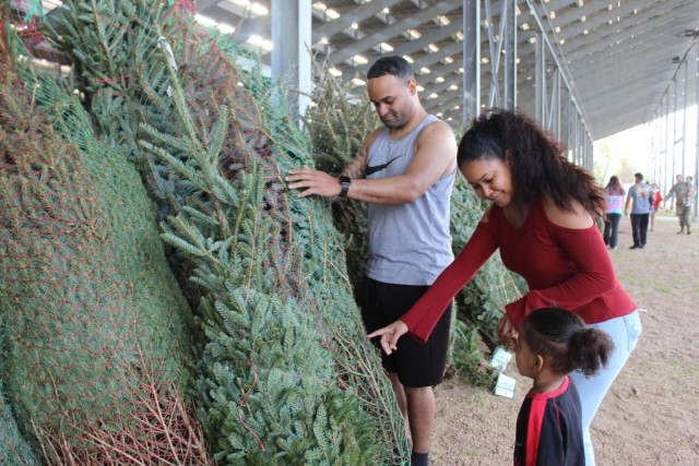 Christmas tree family selection