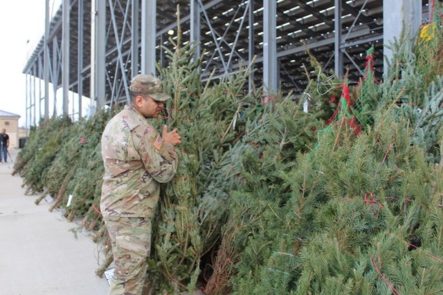 Tree selection