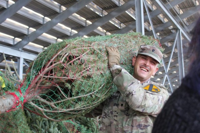 Free Christmas tree
