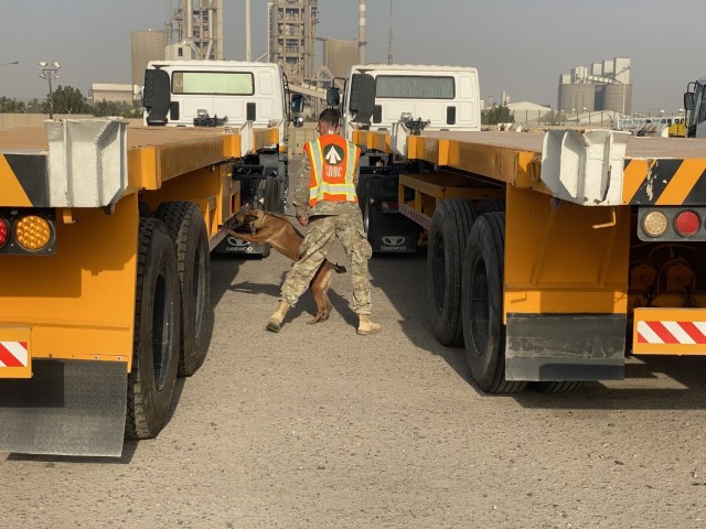 Spc, Joseph Clemens, canine handler, deployed as part of ASG-KU DES, conducts an April 23, 2021 threat detection sweep of vehicles and containers at the Port of Shuaiba, Kuwait prior to vessel operations with his military working dog QQuarell. The canine unit Soldiers are charged with the mission of detecting explosive device as well as providing a psychological deterrent, while providing force protection to military assets at Port of Shuaiba, Kuwait. 