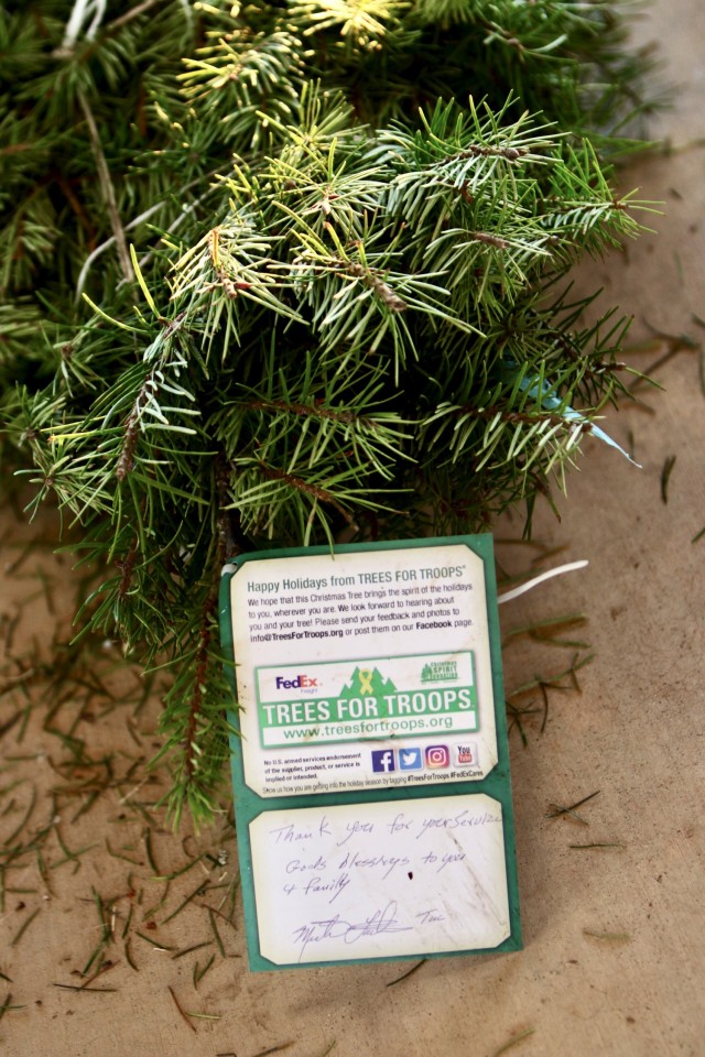 DFMWR, Trees for Troops create holiday memories