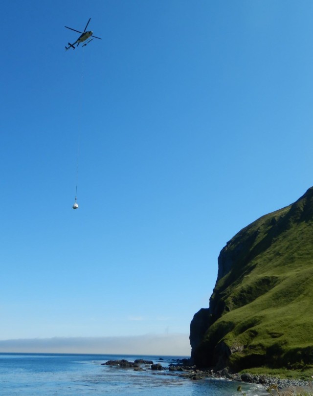 A helicopter slings contaminated soil from the upper camp to the lower camp at the Cape Prominence Formerly Used Defense Site. To minimize the impact of remediation activities and prevent the need to construct a road, the U.S. Army Corps of...
