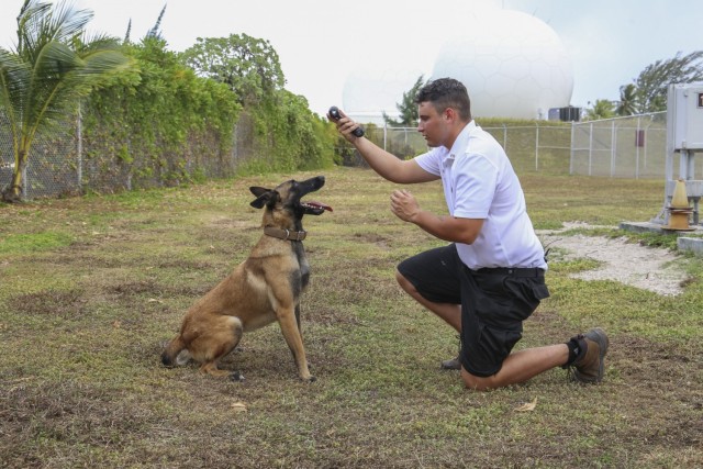 U.S. Army Garrison-Kwajalein Atoll Welcomes New Military Working Dogs