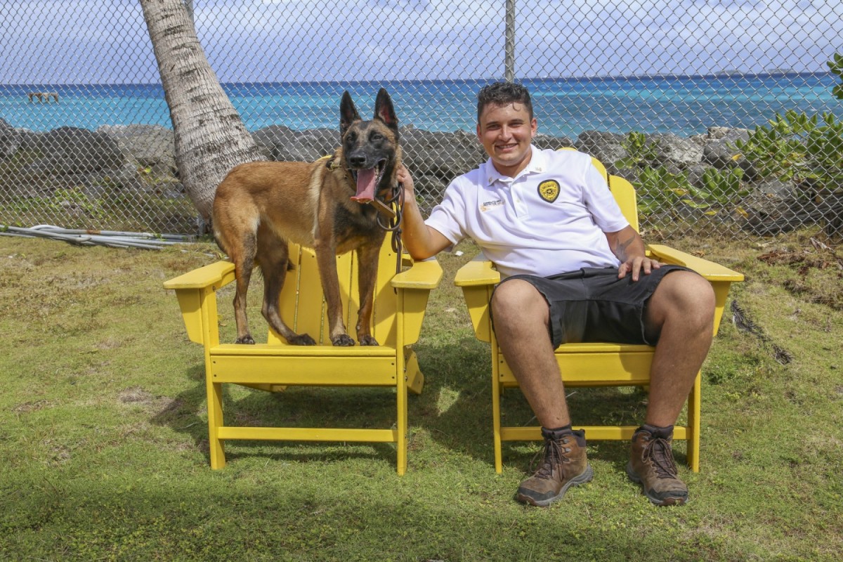 U s army garrison kwajalein atoll welcomes new military working dogs 