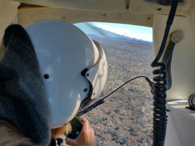 Army stays vigilant for rapid ʻōhiʻa death at Pōhakuloa Training Area