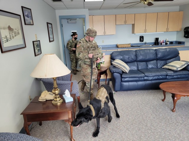 Validation process tests the readiness of Fort Drum's military working dog team