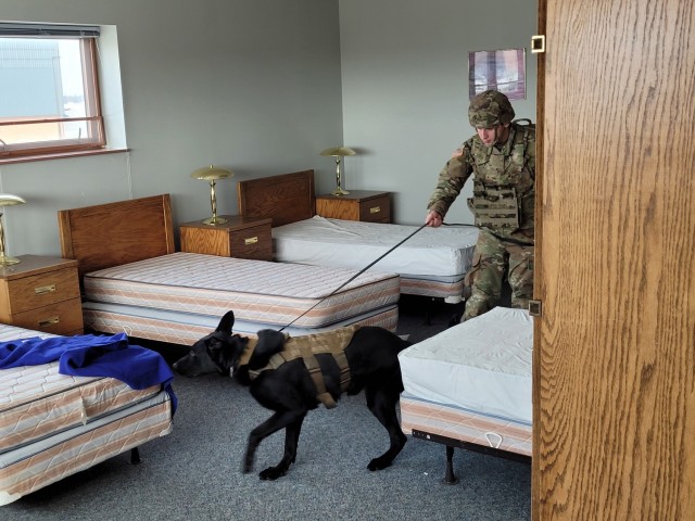 Validation process tests Fort Drum Military Working Dog team readiness