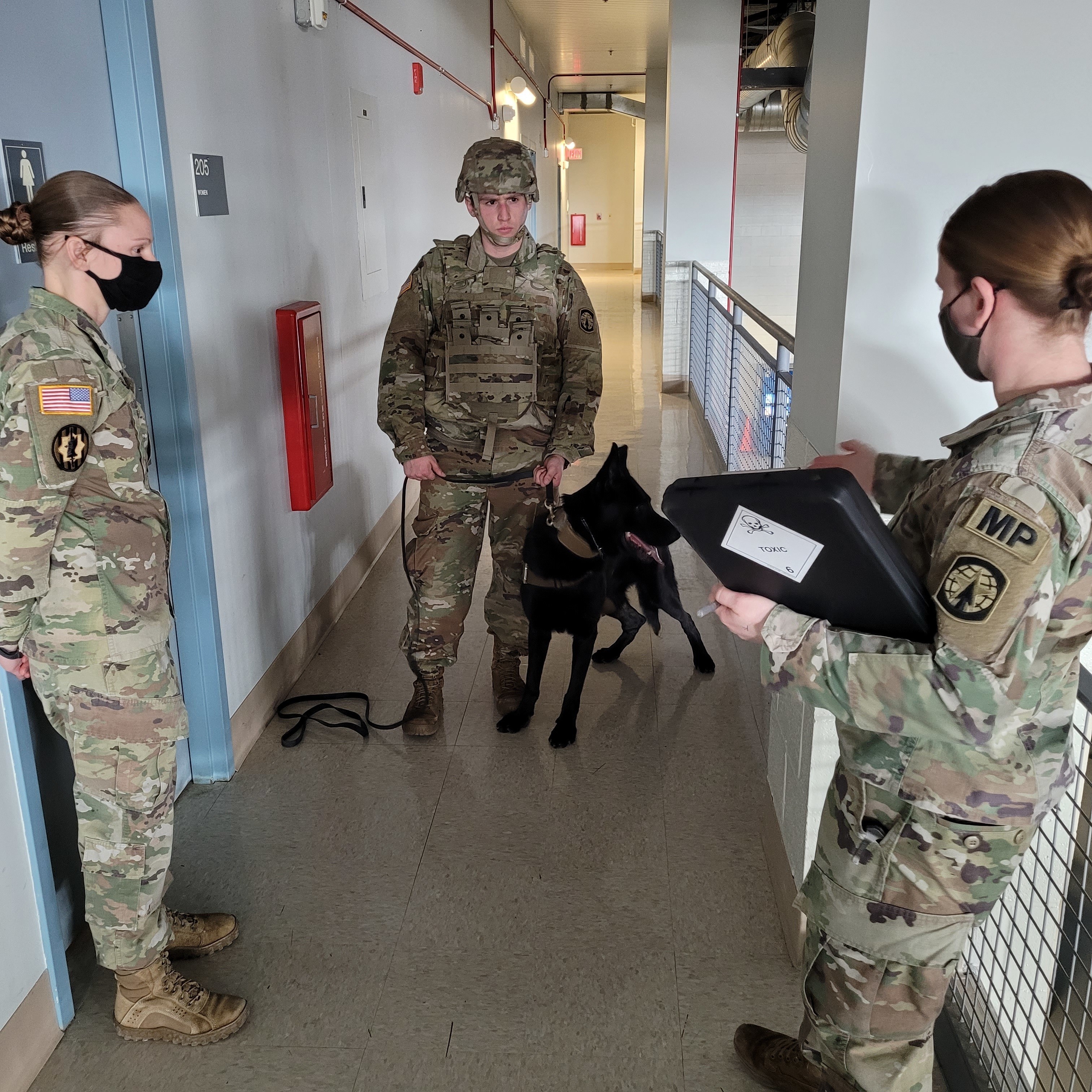 are dogs allowed in army barracks at fort drum ny