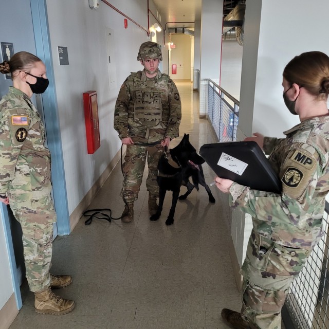 Validation process tests the readiness of Fort Drum's military working dog team