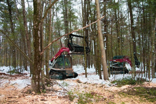 Forestry heavy equipment operators clearing hanging branches from overhead.