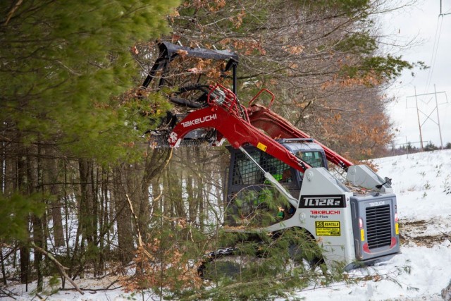 Forestry heavy equipment operator clearing hanging branches from overhead.