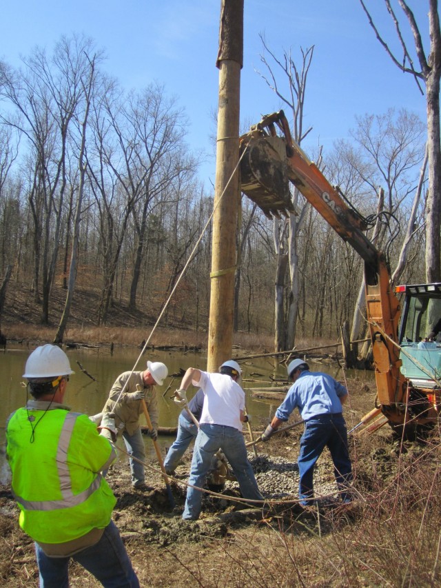 Fort Knox wildlife managers continue efforts to boost, monitor area bat populations