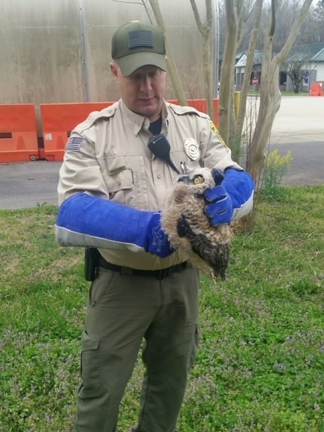 Conservation Officer Joe Wayland carries a wayward owl to release it into the wild.