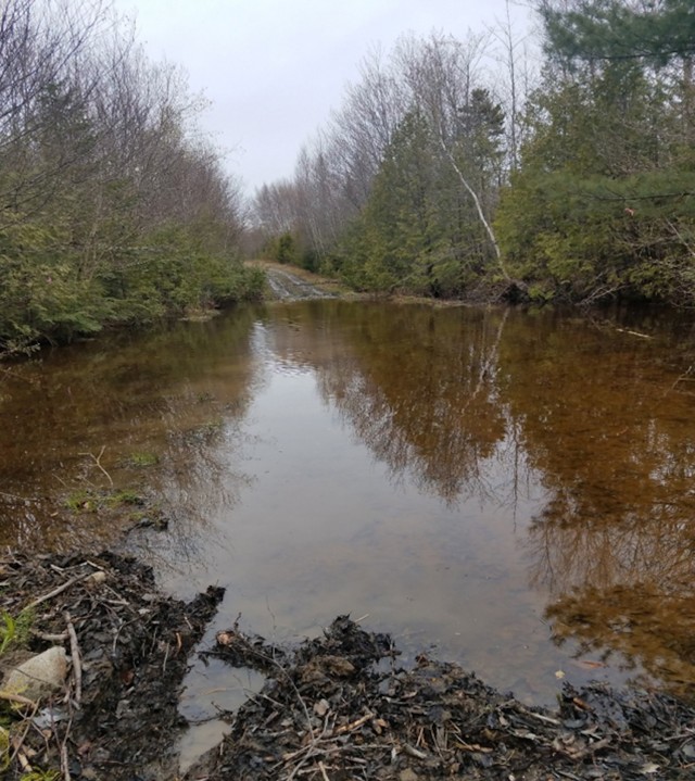Prior to the MEARNG’s development of the site, the logging road network at Woodville TS was largely at or below grade. These roads also intersected small streams and wetlands and did not provide necessary access to training areas.