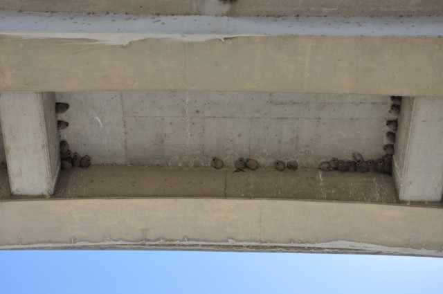 LA, Philadelphia engineers conduct hydraulic steel structure inspection at Sepulveda Dam