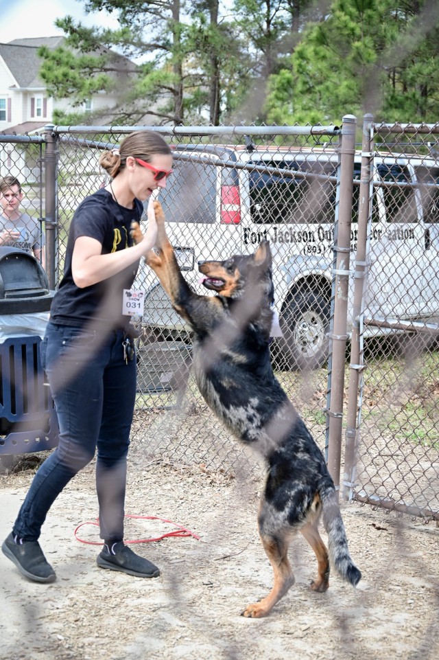Fetching latest winners of April Foolish Dog Show
