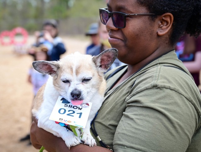 Fetching latest winners of April Foolish Dog Show