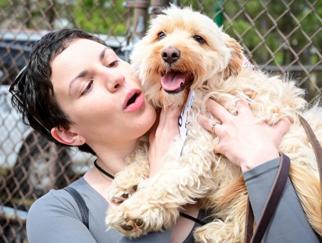 Fetching latest winners of April Foolish Dog Show