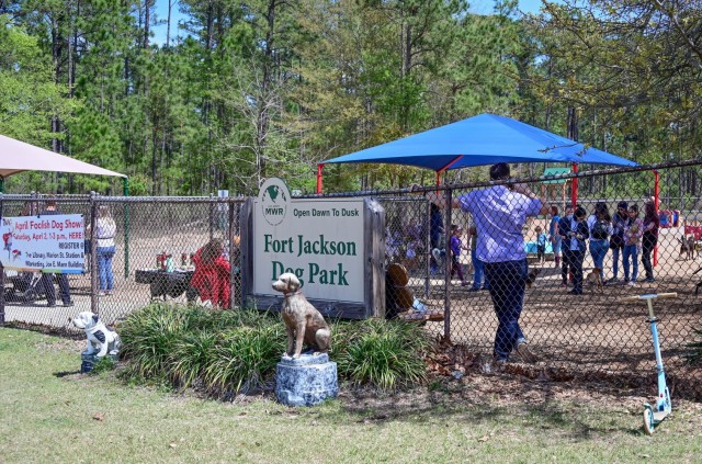 Fetching latest winners of April Foolish Dog Show
