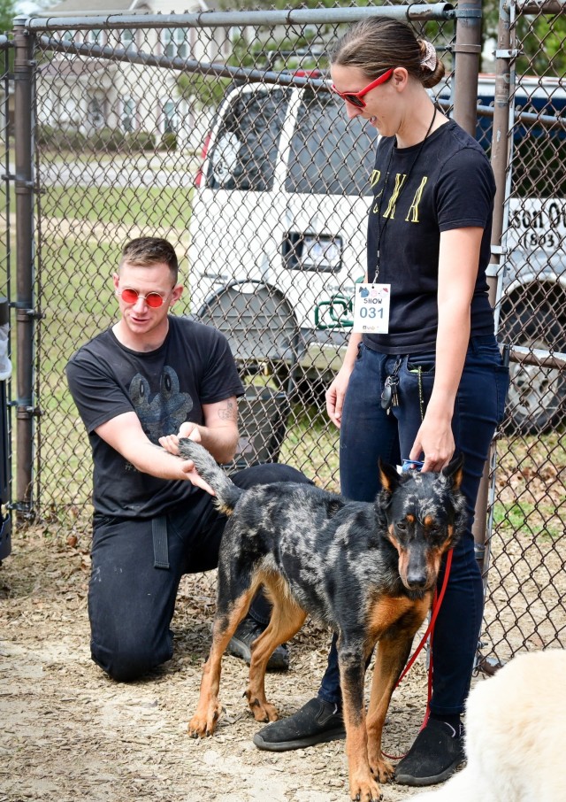 Fetching latest winners of April Foolish Dog Show