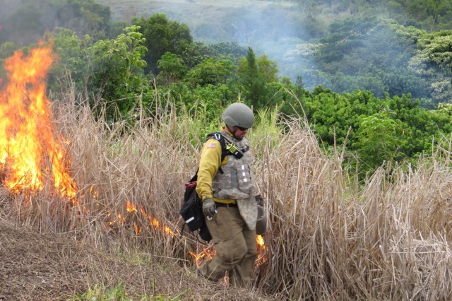 SCHOFIELD BARRACKS, Hawaii – Bryson Kamakura, firefighter, Army Wildland Fire, ignites invasive Guinea grass with a drip torch during the Army’s 2016 prescribed burn. The firefighters burn invasive Guinea grass to prevent larger brush fires and better promote forest health.
