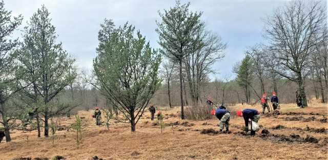 Thousands of trees planted in Fort McCoy training areas during week of Arbor Day